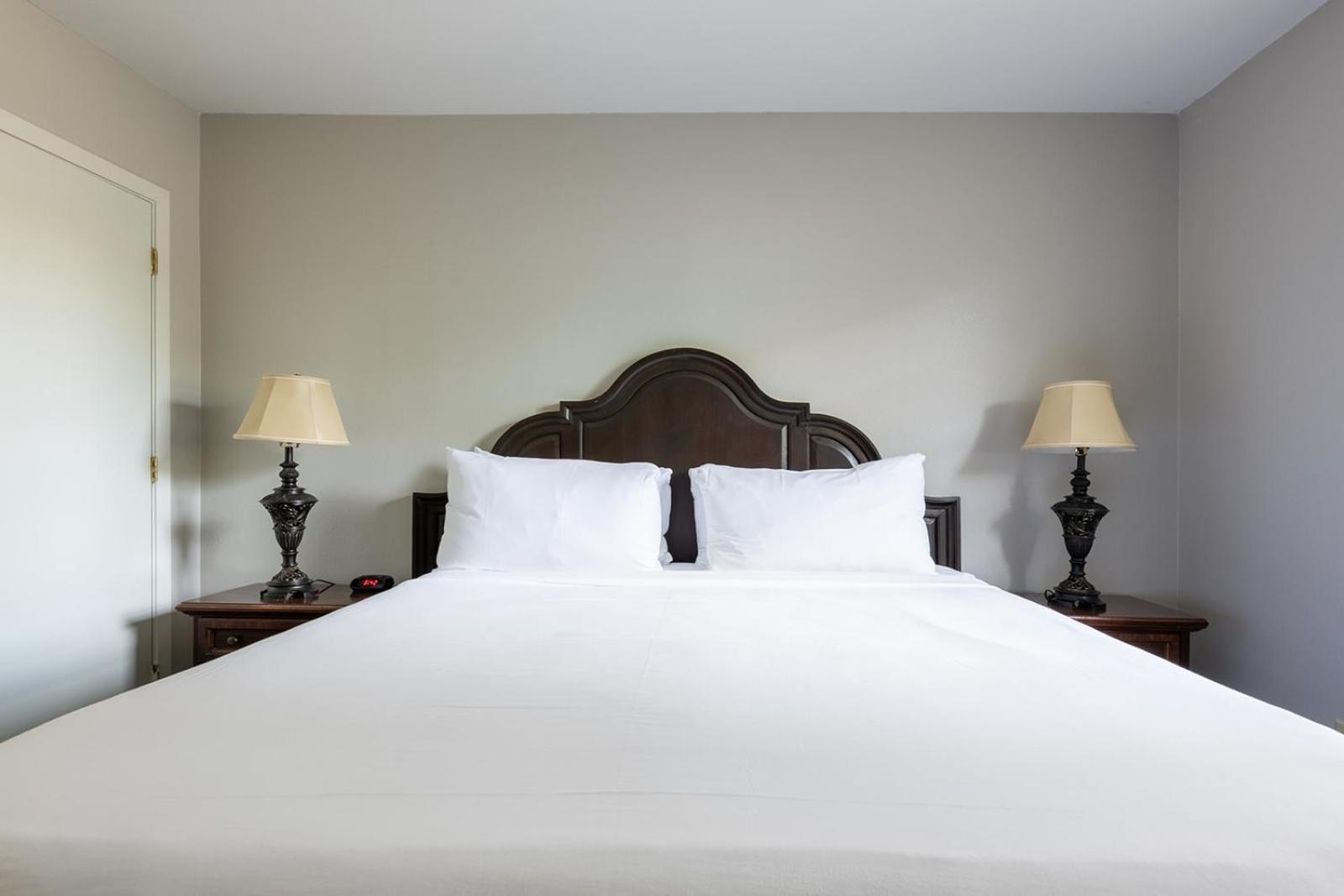 French Quarter Suites Hotel New Orleans Ngoại thất bức ảnh
