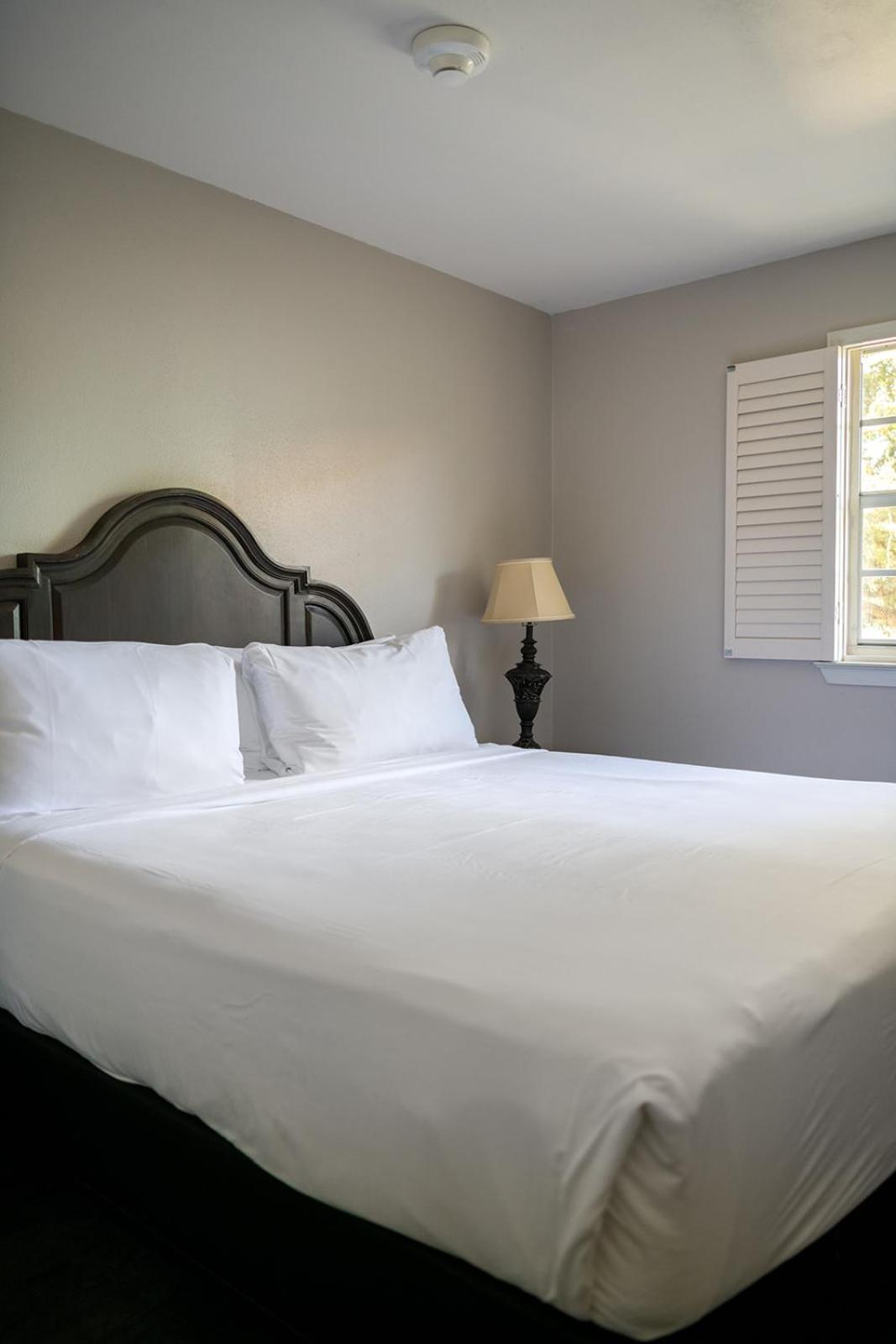 French Quarter Suites Hotel New Orleans Ngoại thất bức ảnh